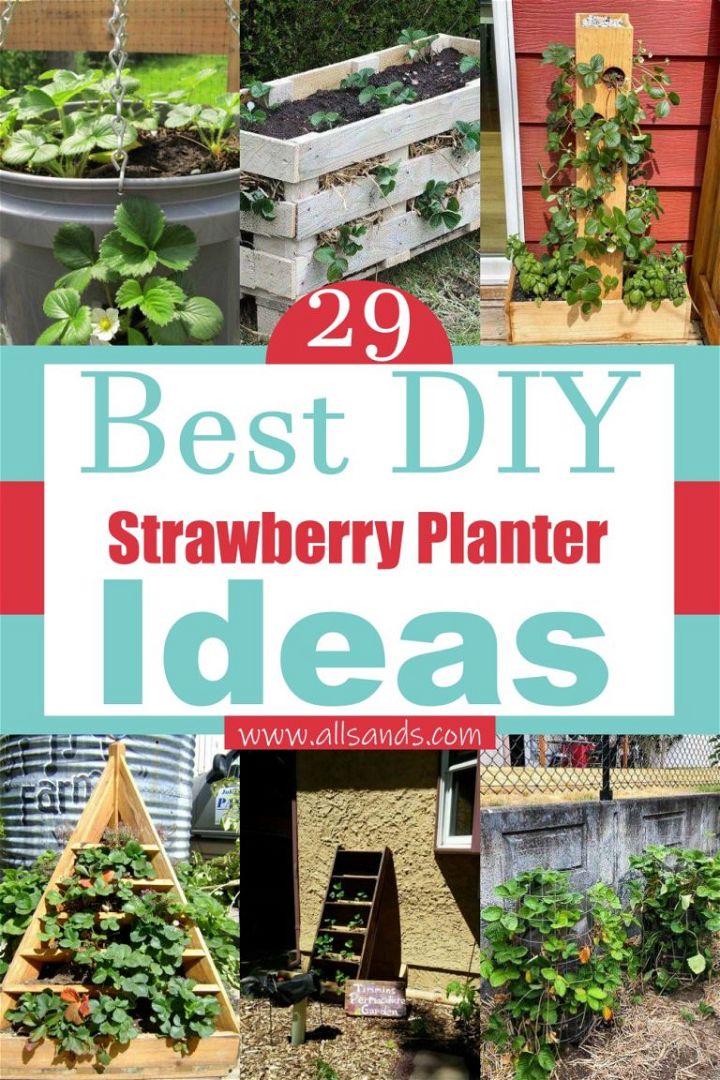 29 Best DIY Strawberry Planter Ideas For Home Gardening - All Sands