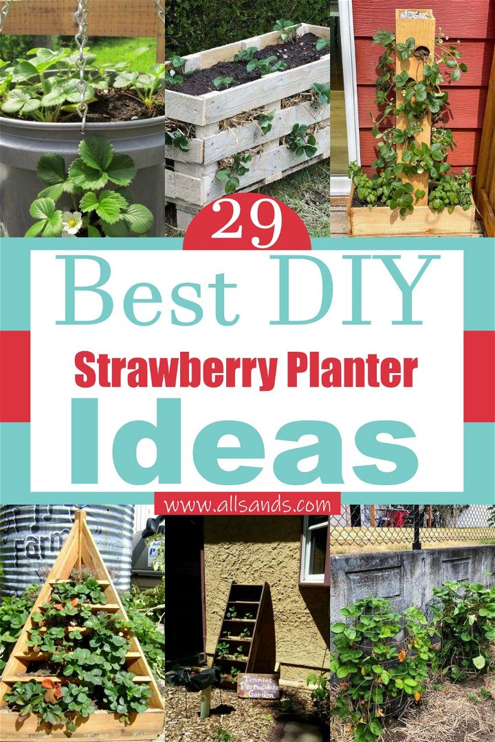 29 Best DIY Strawberry Planter Ideas
