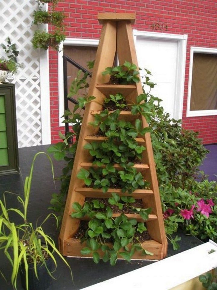 Build A Great Strawberry Pyramid Planter In 4 Steps