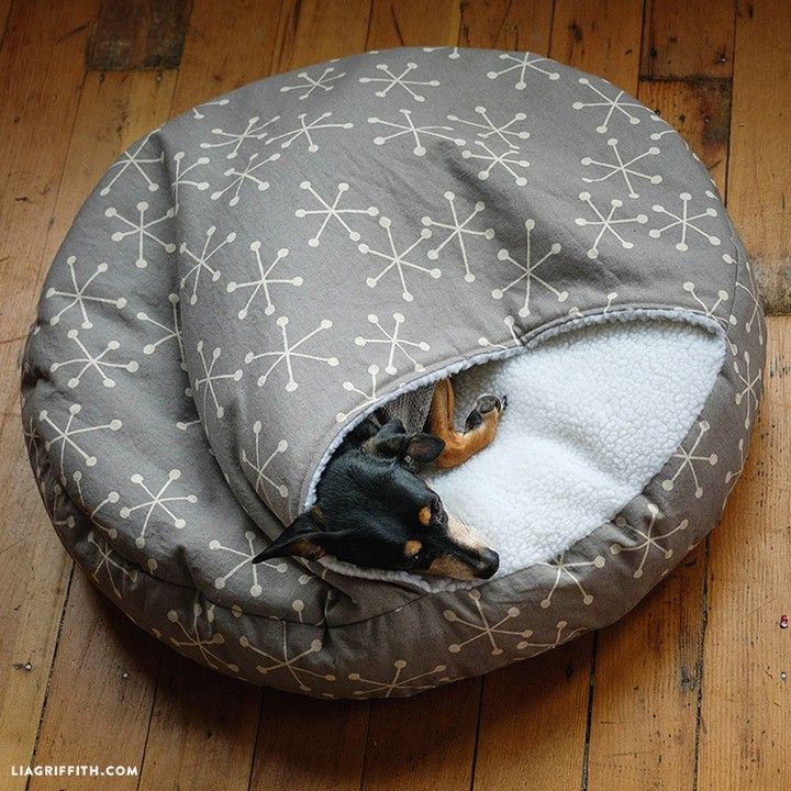 Burrow puppy's Bed