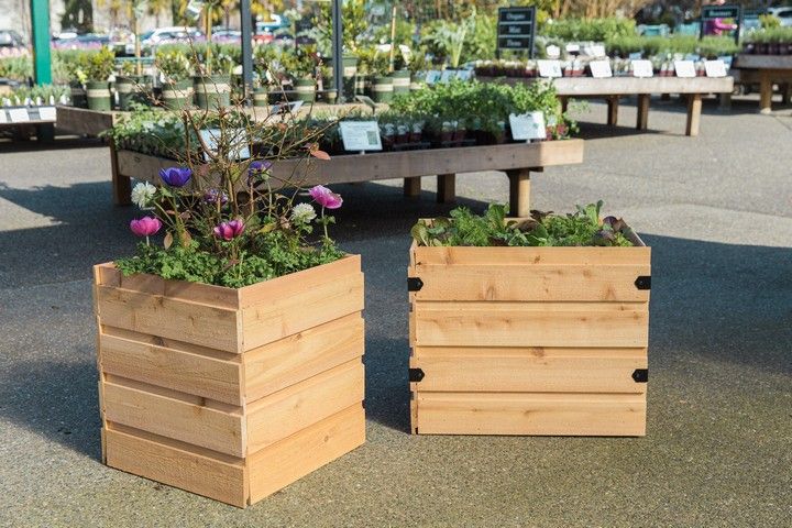 DIY Cedar Planter Boxes