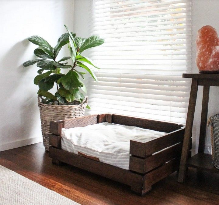 puppy's Bed Frames