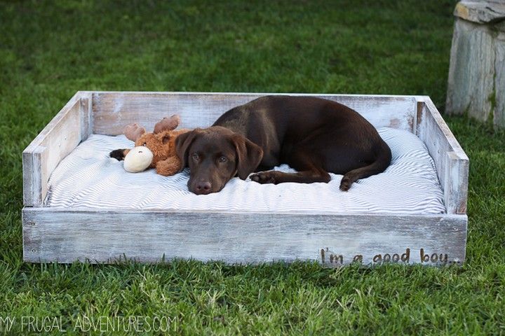 DIY Dog Bed Tutorial