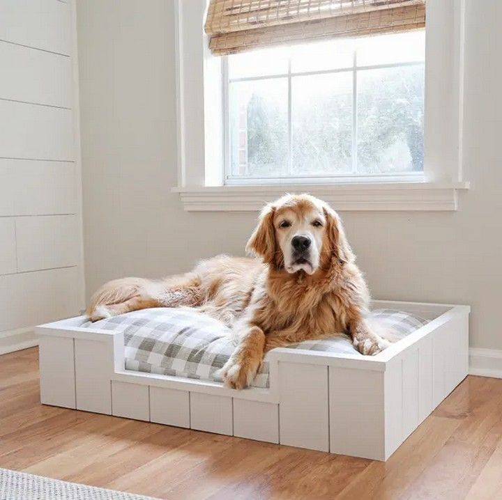 DIY Dog Bed with Shiplap