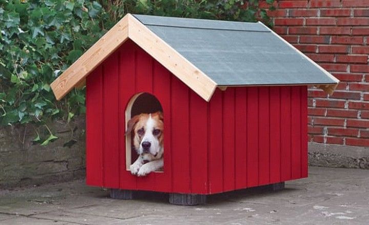 DIY Dog House