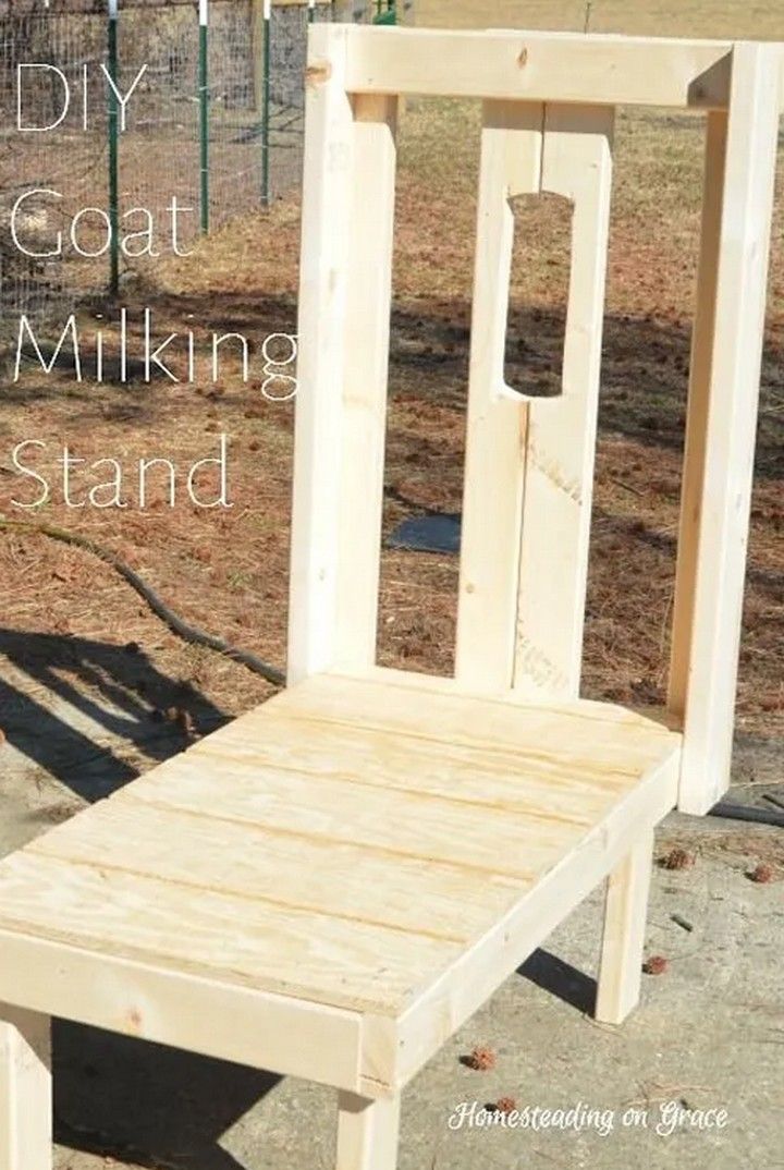 DIY Goat Milking Stand 1