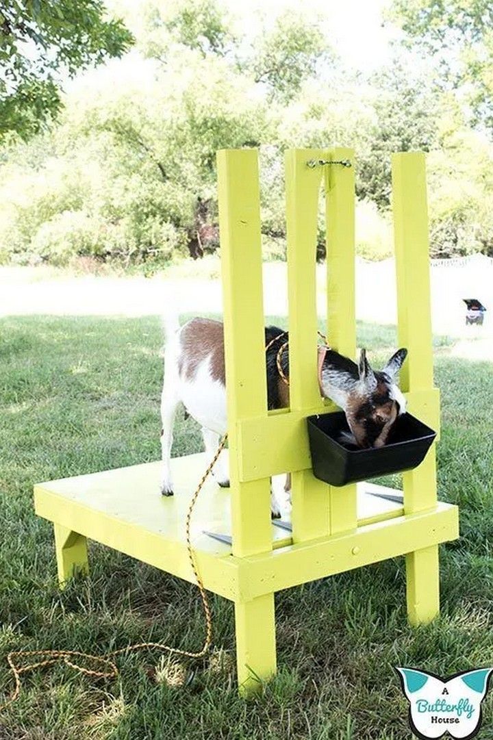 DIY Goat Milking Stand