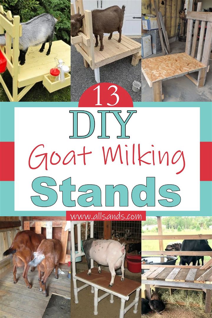 DIY Goat Milking Stands 1