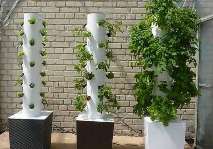 DIY Hydroponic Tower Garden