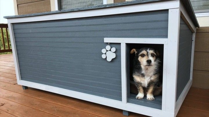 DIY Insulated Dog House