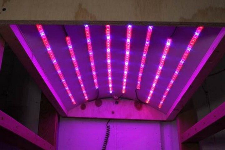 DIY LED Grow Light