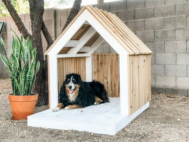 DIY Modern Dog House For Oscar