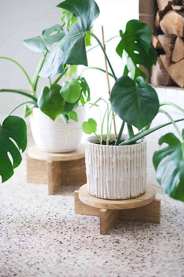 DIY Modern Wood Plant Stands