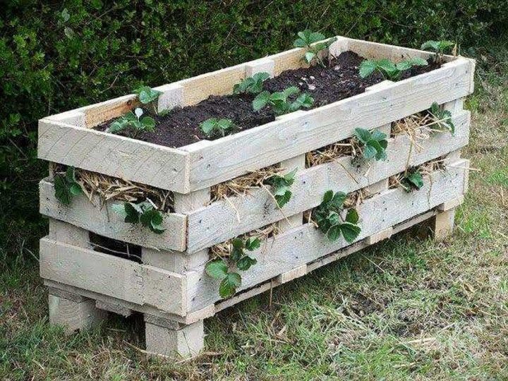 DIY Pallet Strawberry Planter