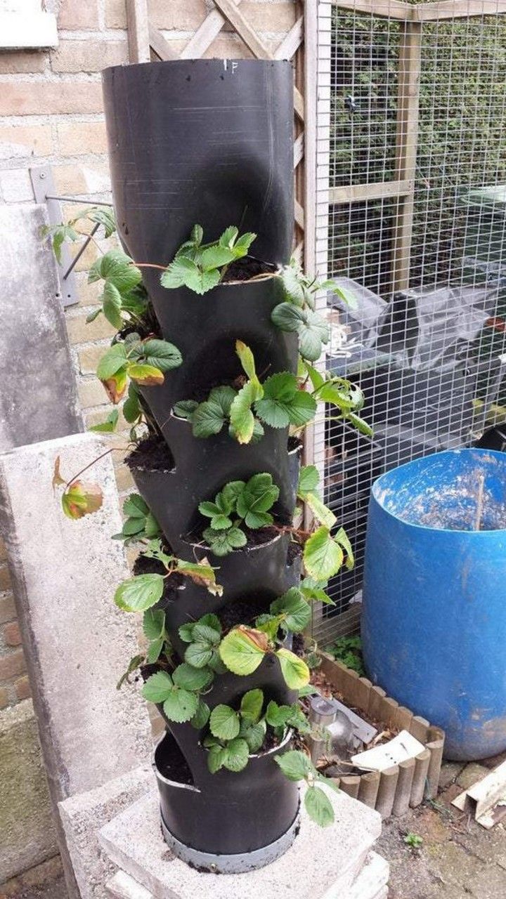 DIY Plant Tower Garden