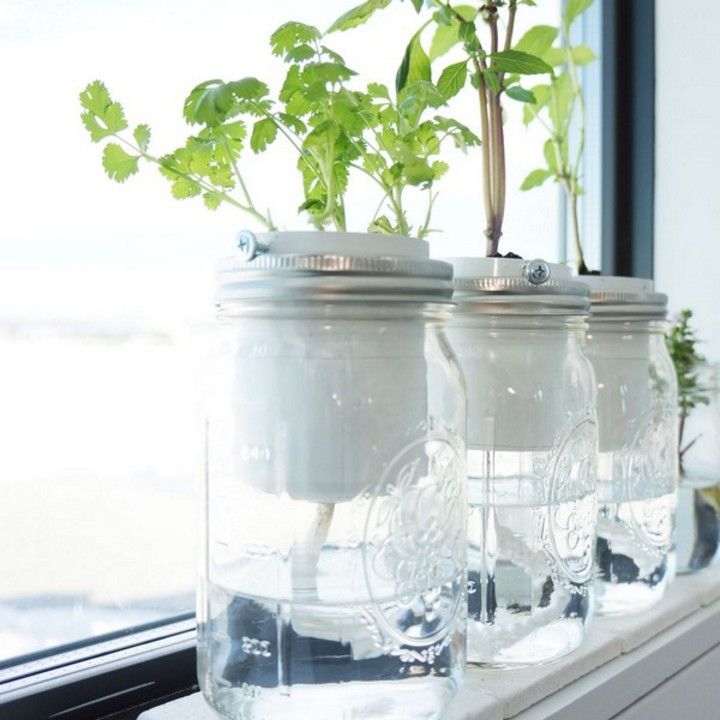 DIY Self-Watering Herb Planter
