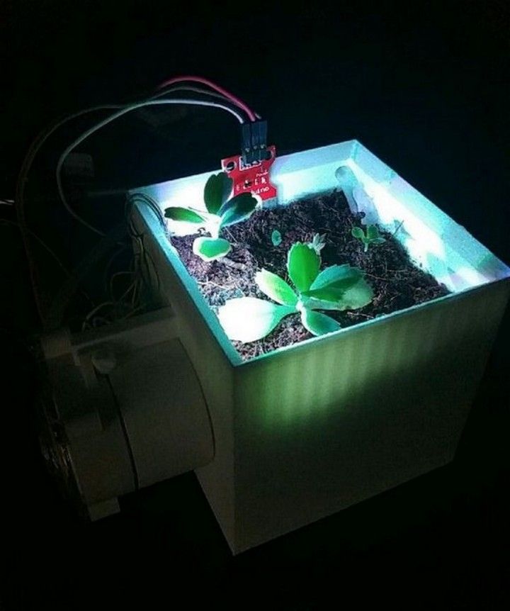 DIY Self Watering Planter