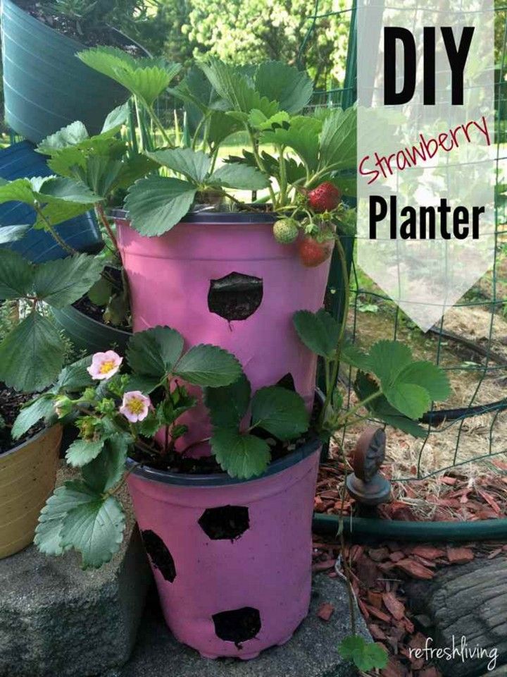 DIY Strawberry Planter From Recycled Materials