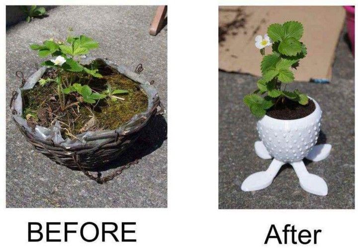DIY Tasty Strawberry Planter