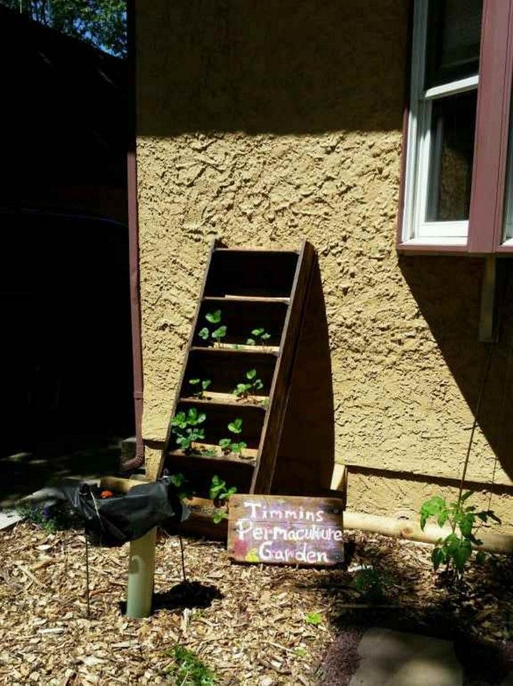 Vertical Planter From Reclaimed Ladder