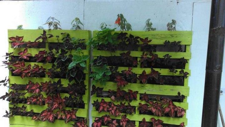 DIY Vertical Wall Planter