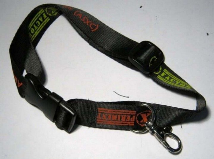 Dog Collar Lanyard