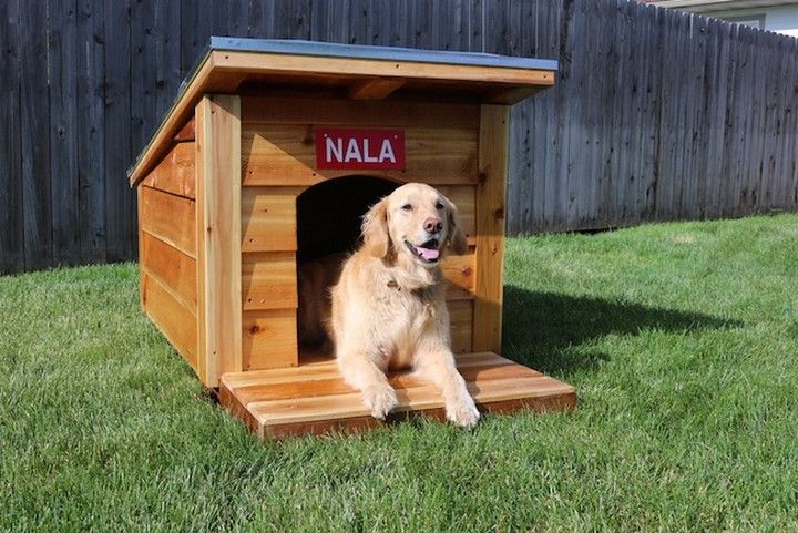 How To Build A Doghouse