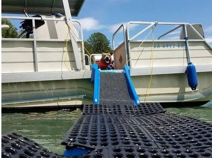 How To Make A Dog Ramp For A Pontoon Boat