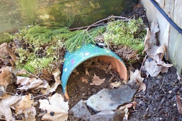 14 Diy Toad House Plans For Home Decoration - All Sands