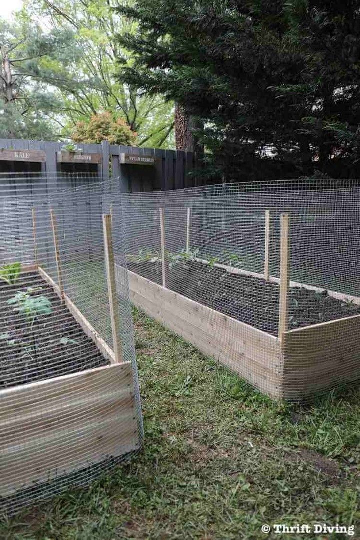 How to Build a plant Bed