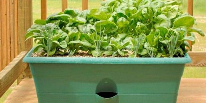 Make A Self Watering Planter