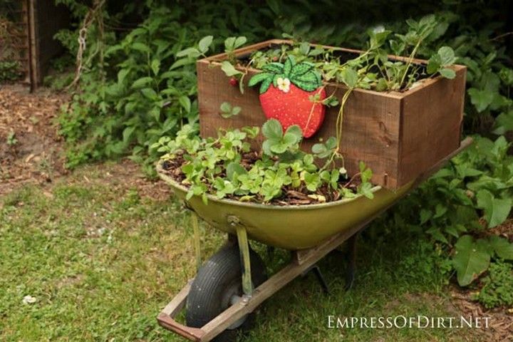 Make A Wheelbarrow Planter