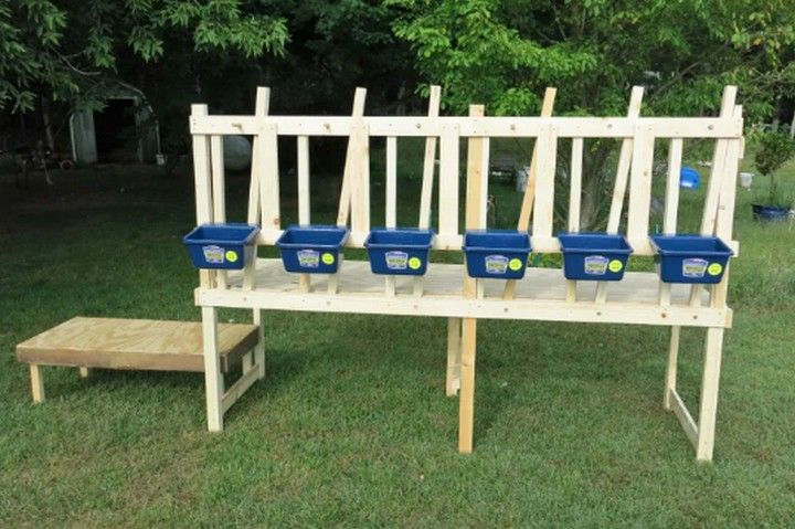 13 DIY Goat Milking Stand Ideas With Dimensions - All Sands