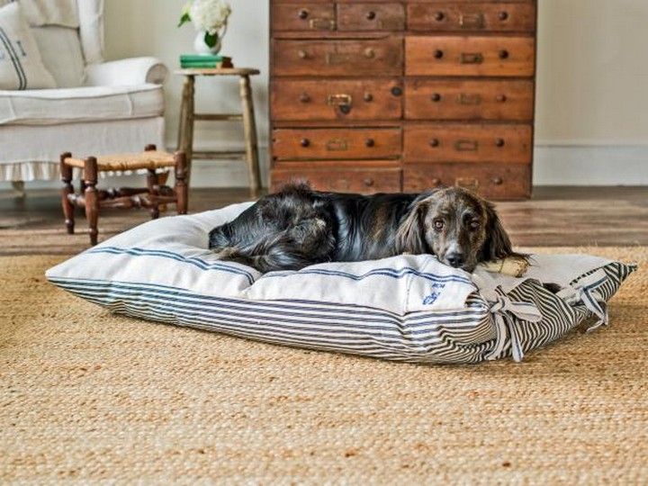 Pet Projects Make A DIY Dog Bed
