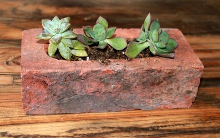 Rustic Brick Planter