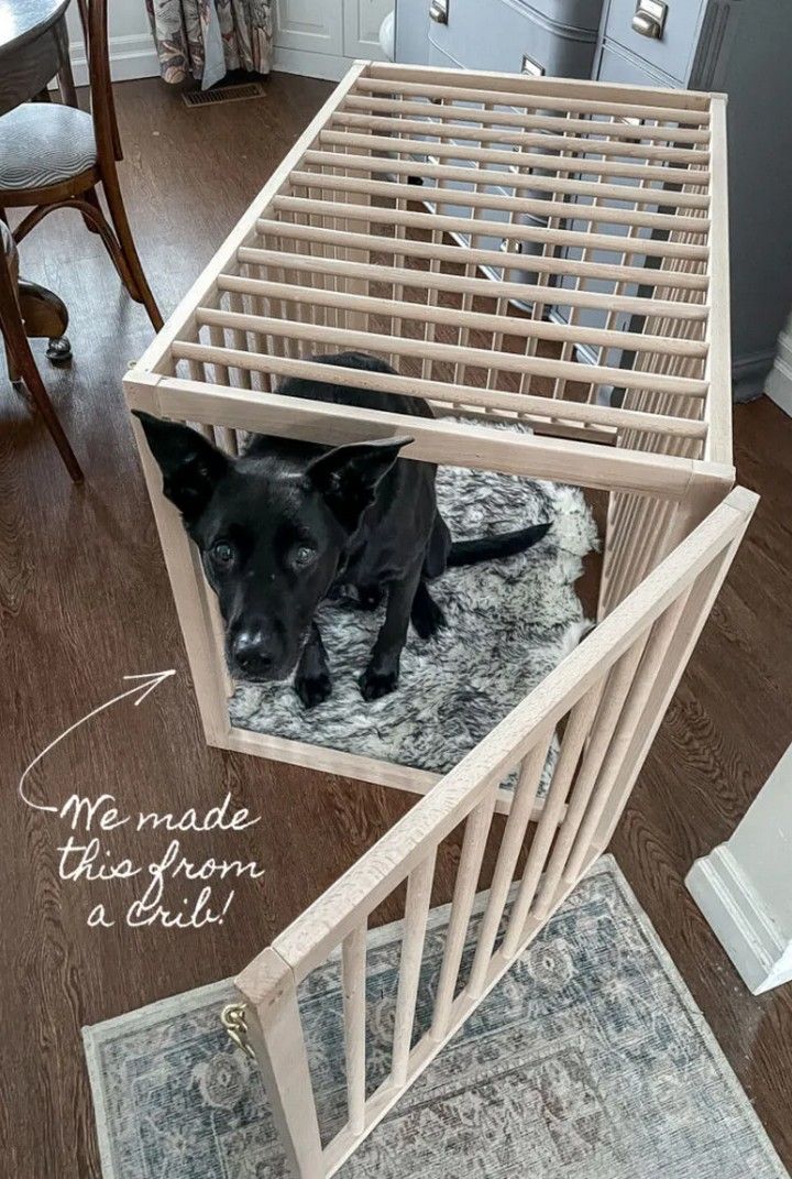 Stylish DIY Wooden Dog Crate