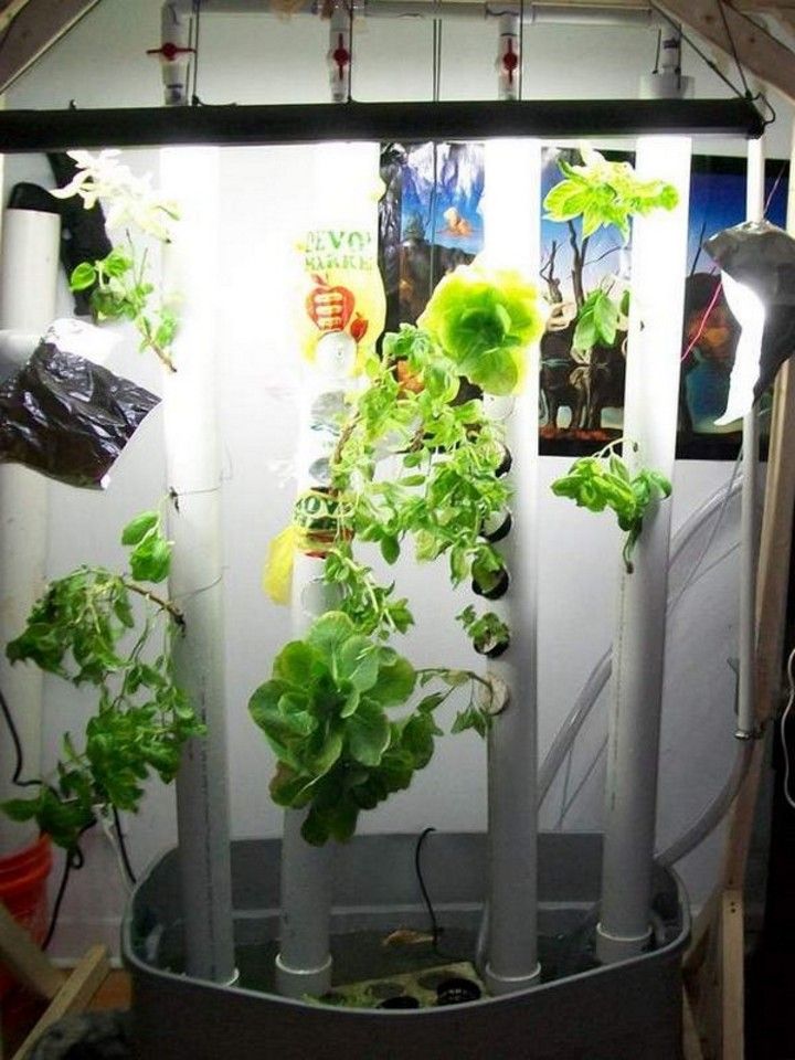 Vertical Aquaponic Garden DIY