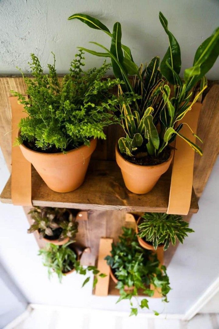 Vertical Planter