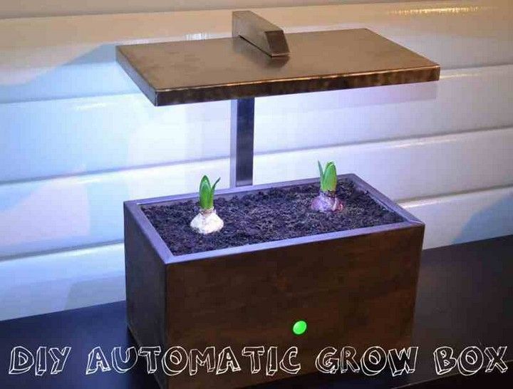 Automated seedling Box