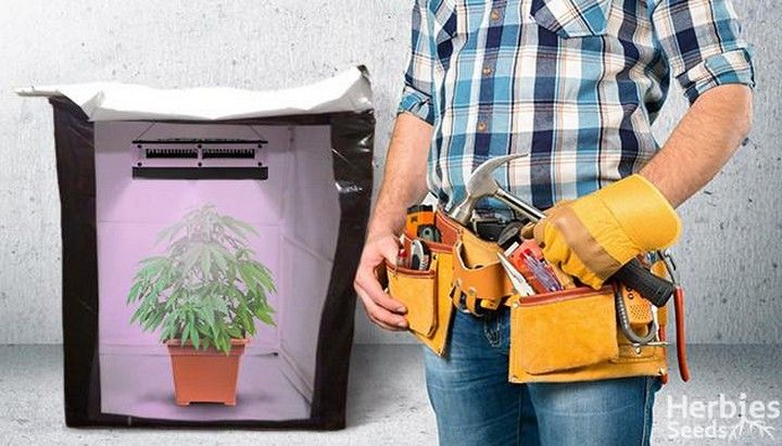 9 DIY Grow Tent Ideas For Home Garden - All Sands