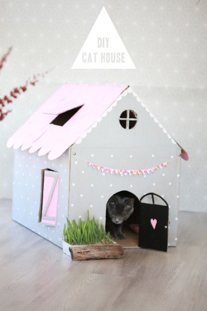 Cheap Cat House