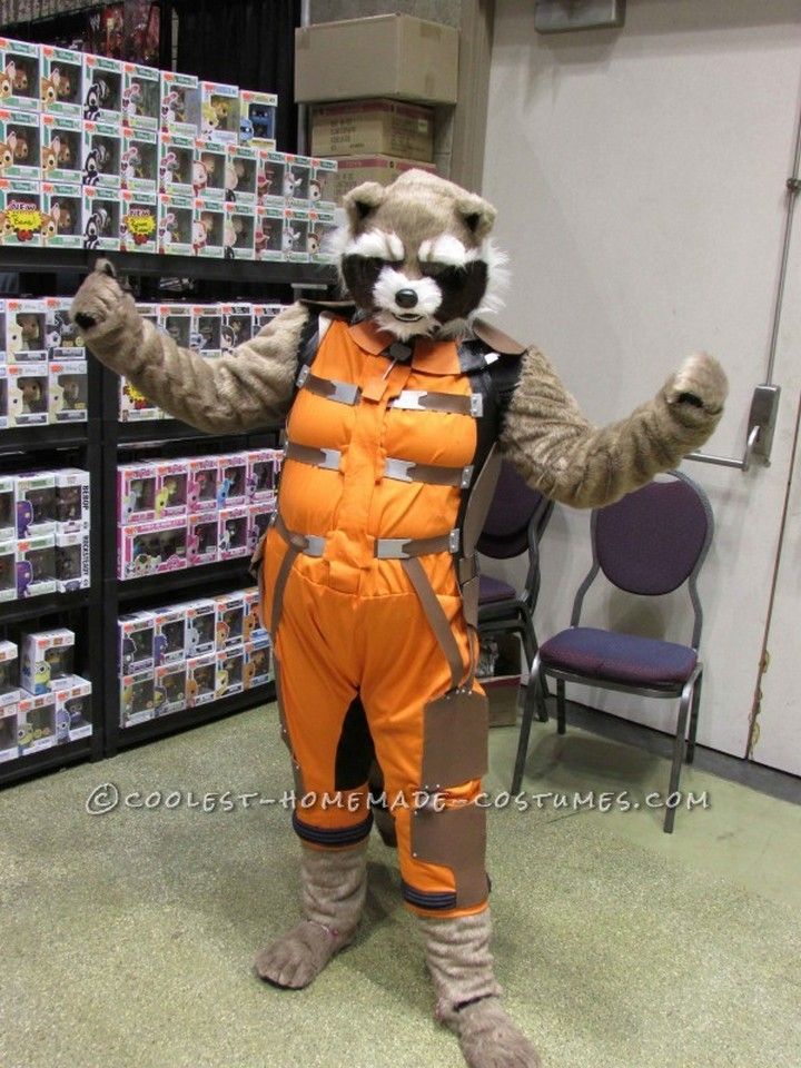 Cool Raccoon wear From Guardians Of The Galaxy