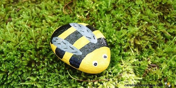 DIY Bee Rock Pets