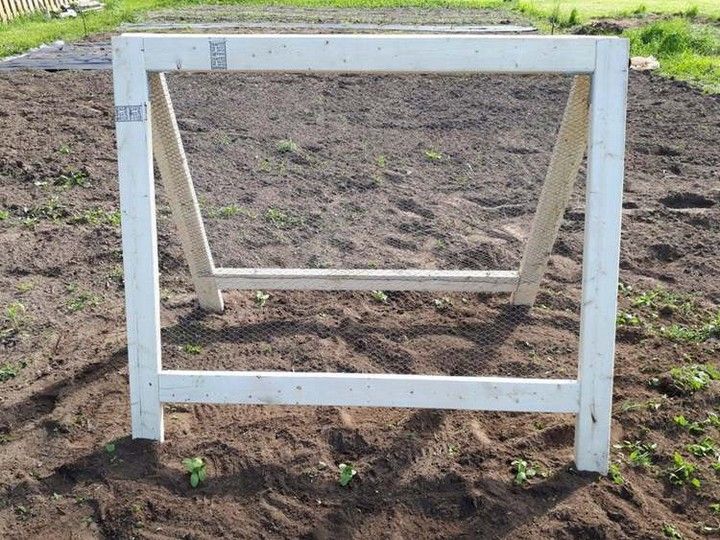 DIY Cucumber Trellis