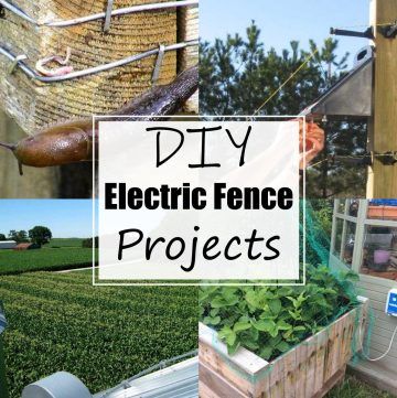 DIY Electric Fence Projects 1