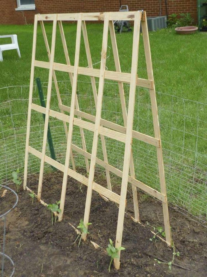 DIY Folding Trellis