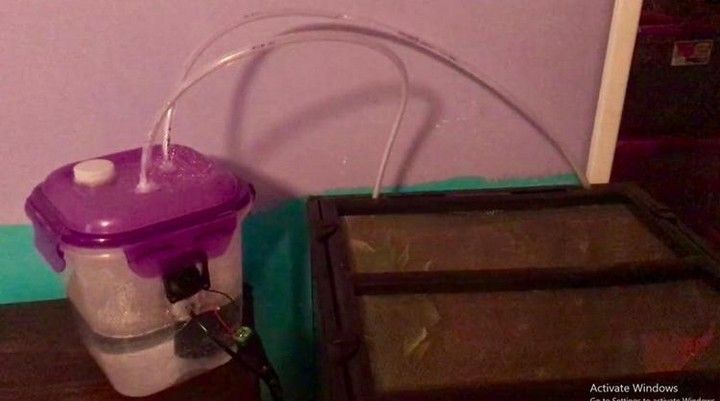 DIY Gecko Humidifier