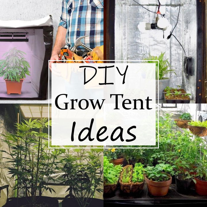 9 DIY Grow Tent Ideas For Home Garden