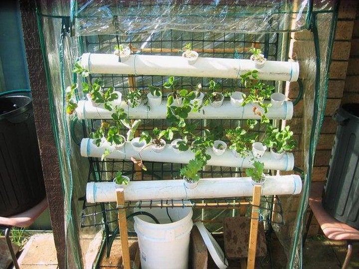 DIY Hydroponic Food Factory