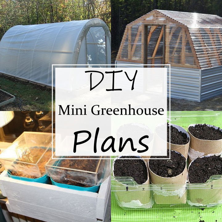 25 DIY Mini Greenhouse Plans For Farming Expert